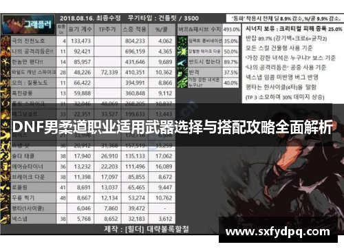 DNF男柔道职业适用武器选择与搭配攻略全面解析