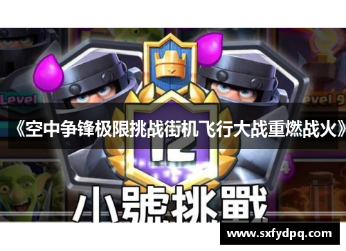 《空中争锋极限挑战街机飞行大战重燃战火》