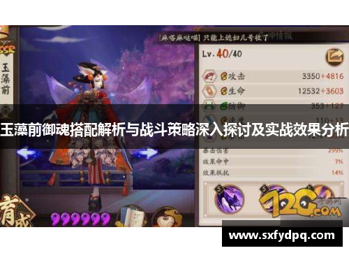 玉藻前御魂搭配解析与战斗策略深入探讨及实战效果分析